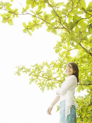 長崎県対馬市のビジネスホテル「東横INN対馬厳原」：快適な宿泊と便利なロケーションを提供