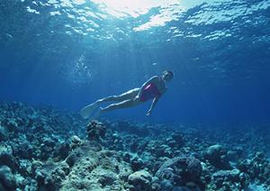 非常に魅力的なスキー場について