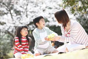 新!ガーデン八潮で楽しむパチンコ体験