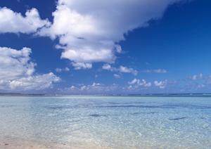 静岡市中心の高評価シティホテル【中島屋グランドホテル】〜快適な滞在と充実の施設を提供〜