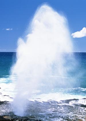 羽田空港近くの快適なビジネスホテル｜東横イン羽田空港1の魅力と詳細情報