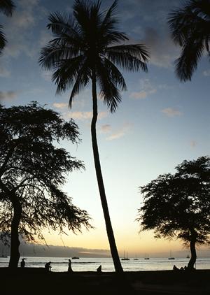 博多駅から徒歩2分！東横INN博多駅バスターミナル前の魅力と利用ポイント