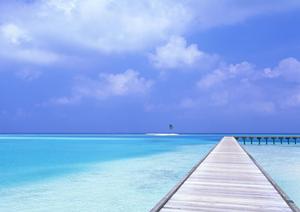 大阪市中心部からアクセス抜群！東横INN新大阪中央口新館の魅力と詳細情報