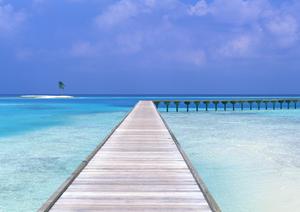 海外旅行保険の手頃に安心が得られる商品