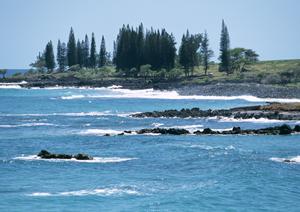 金沢金箔体験をしたいという方にオススメ