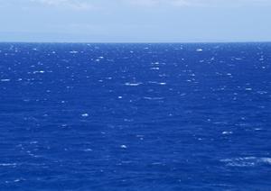 東横INN八潮駅前の魅力と最新情報｜埼玉県八潮市に位置するビジネスホテルの概要
